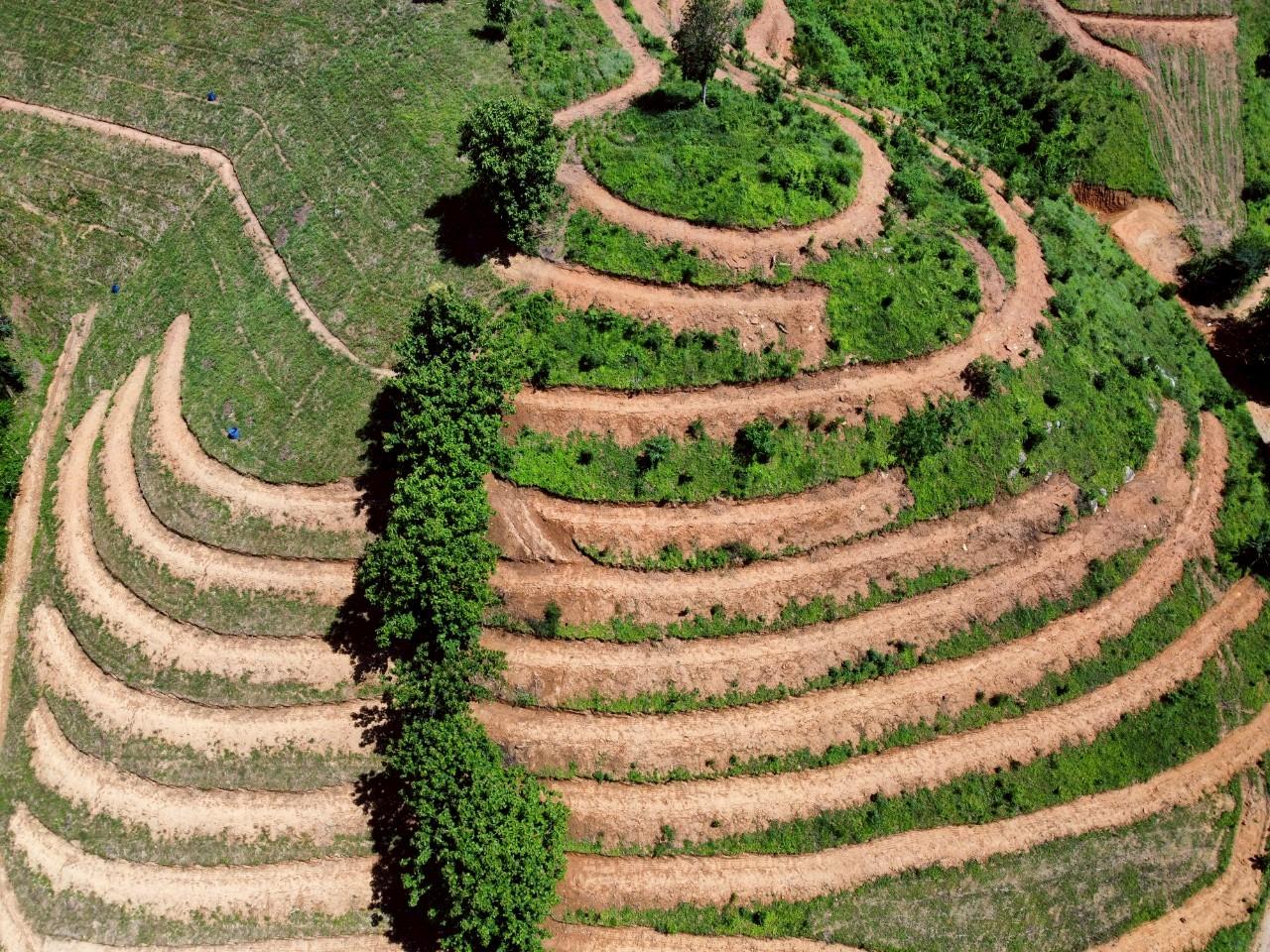 ภาพประกอบที่ 7