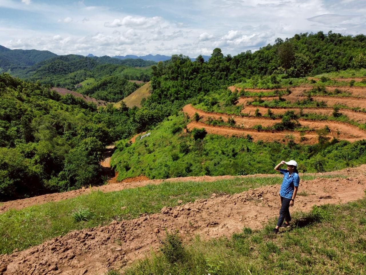 ภาพประกอบที่ 8