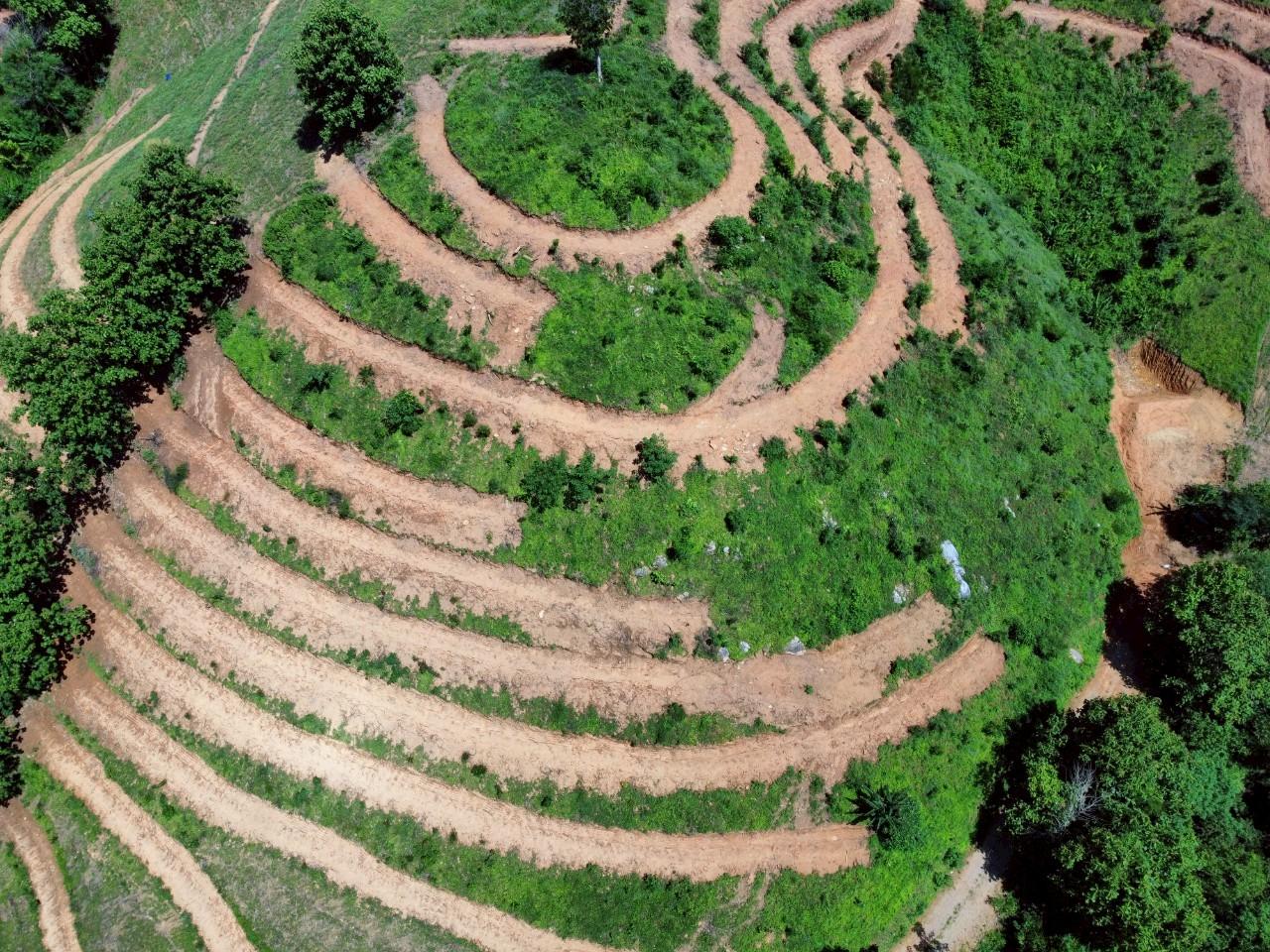 ภาพประกอบที่ 9