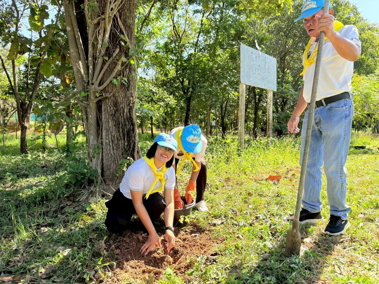 ภาพประกอบที่ 8