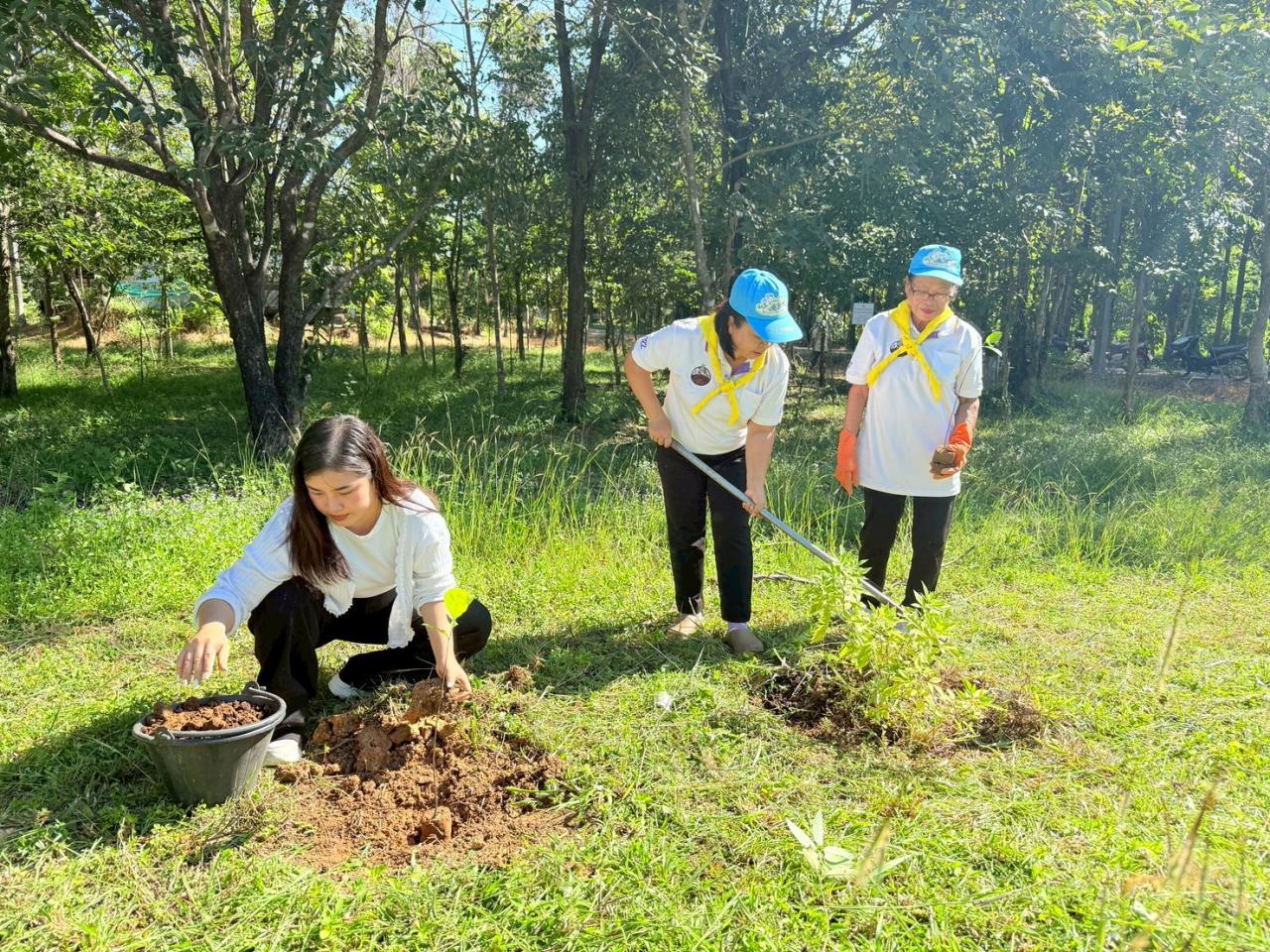 ภาพประกอบที่ 1