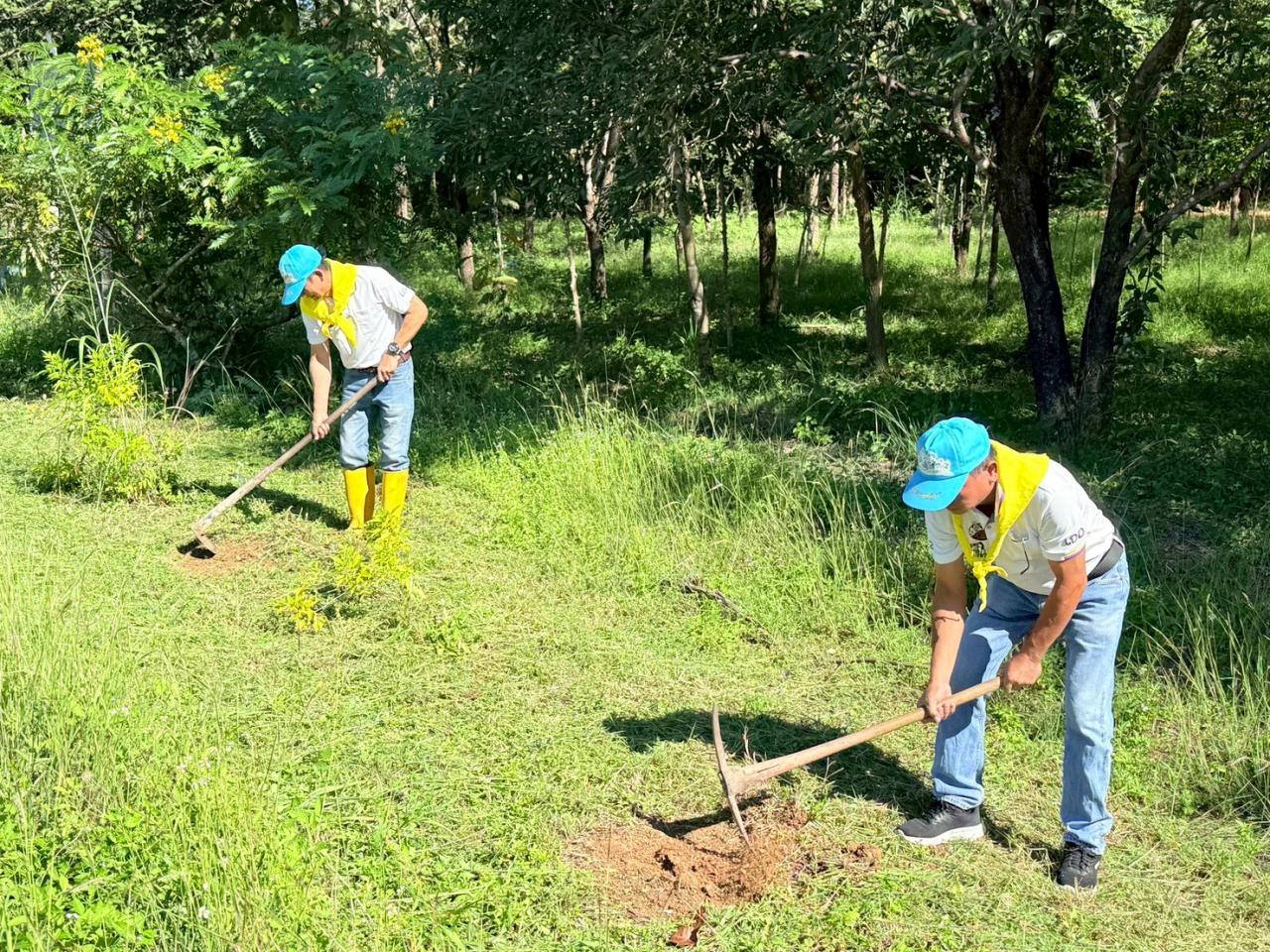 ภาพประกอบที่ 4