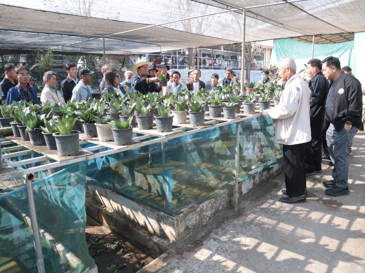 ภาพประกอบที่ 4