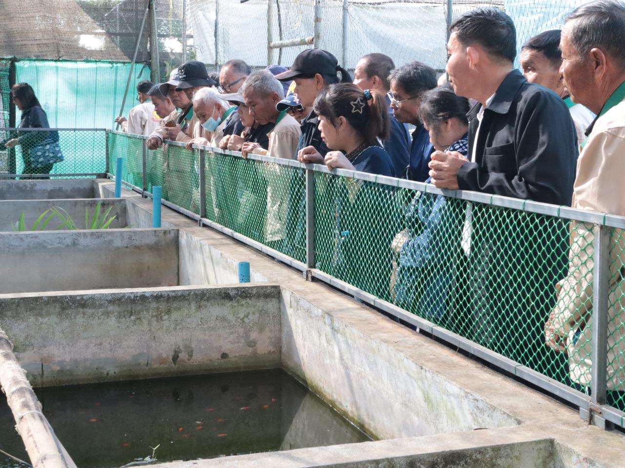 ภาพประกอบที่ 5