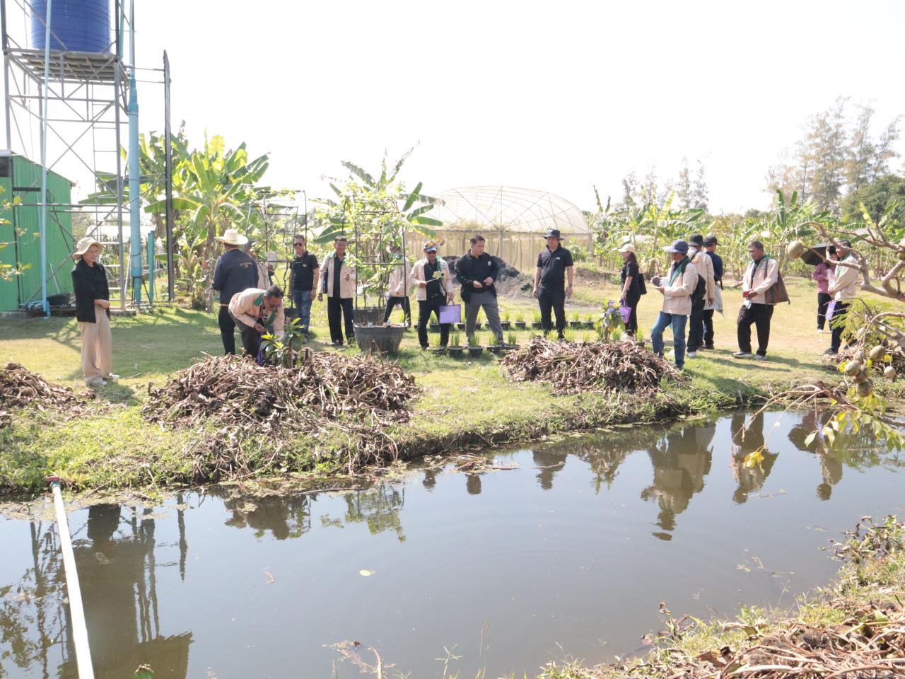 ภาพประกอบที่ 3