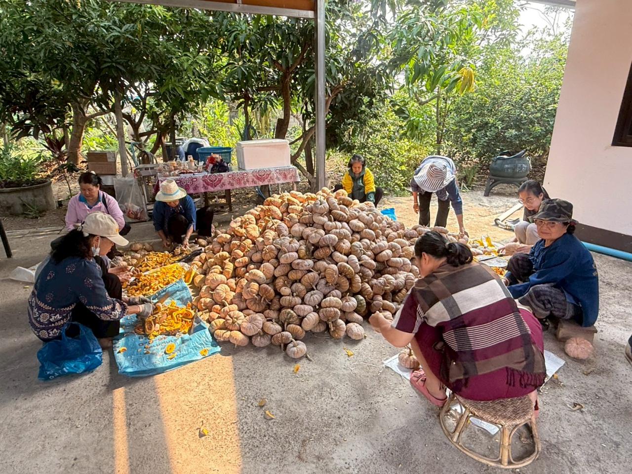 ภาพประกอบที่ 0