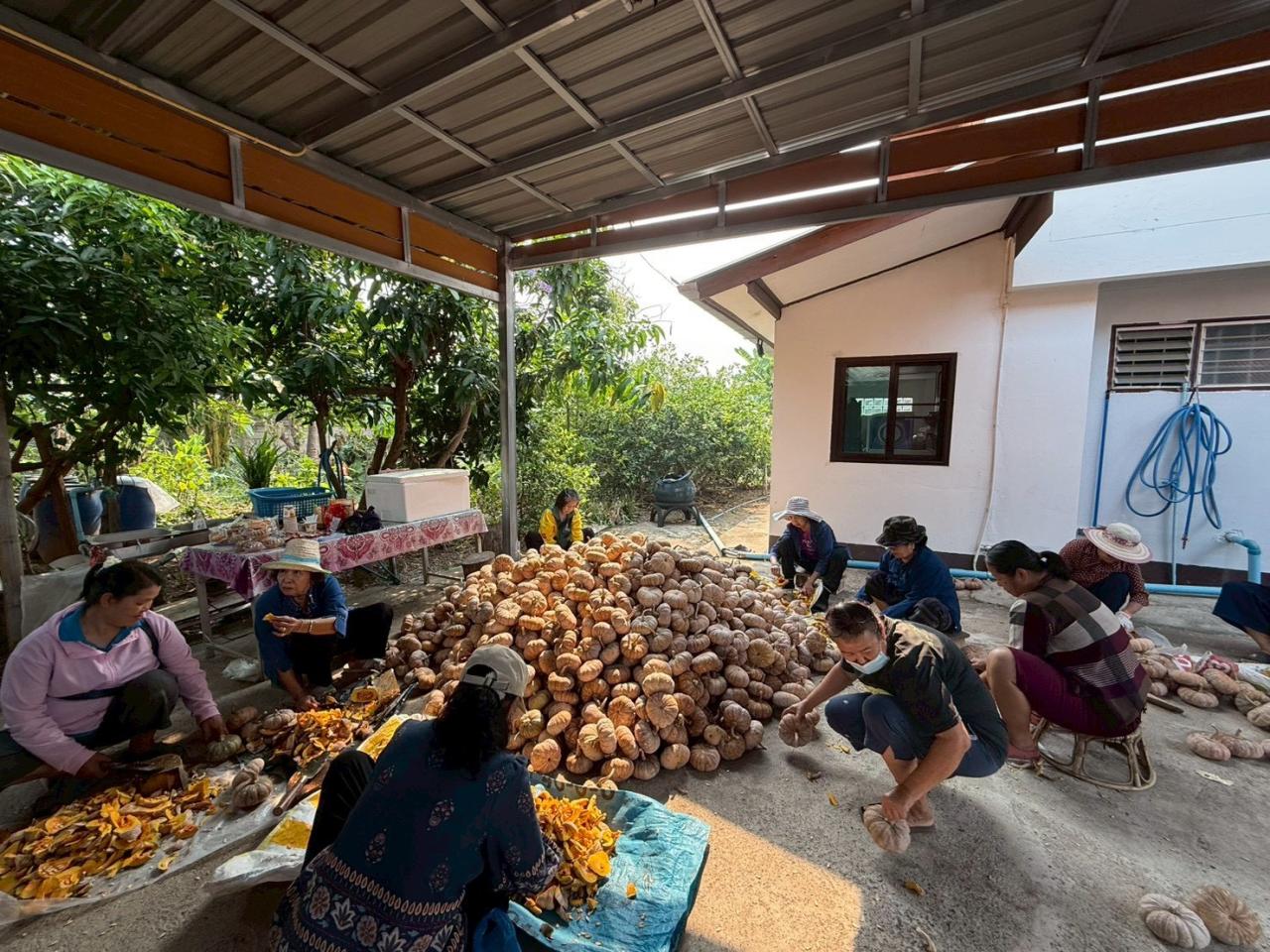 ภาพประกอบที่ 8