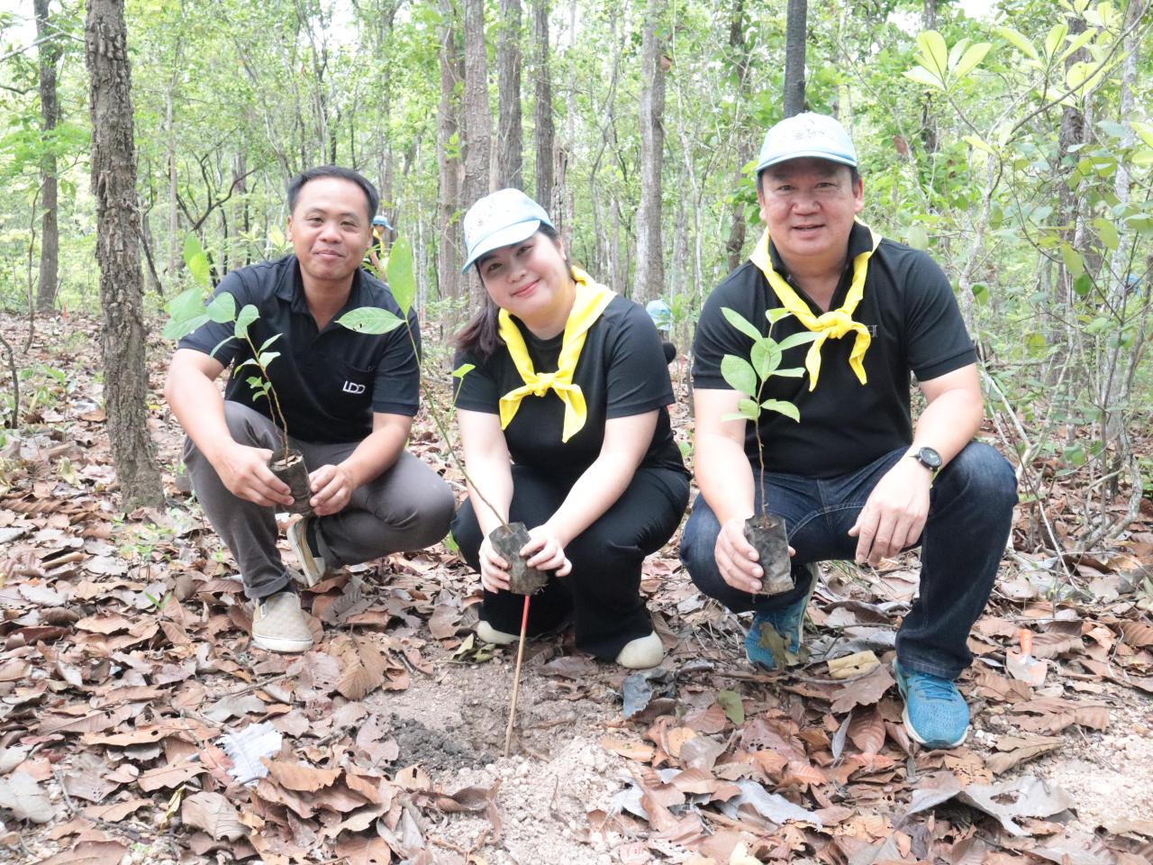 ภาพประกอบที่ 1