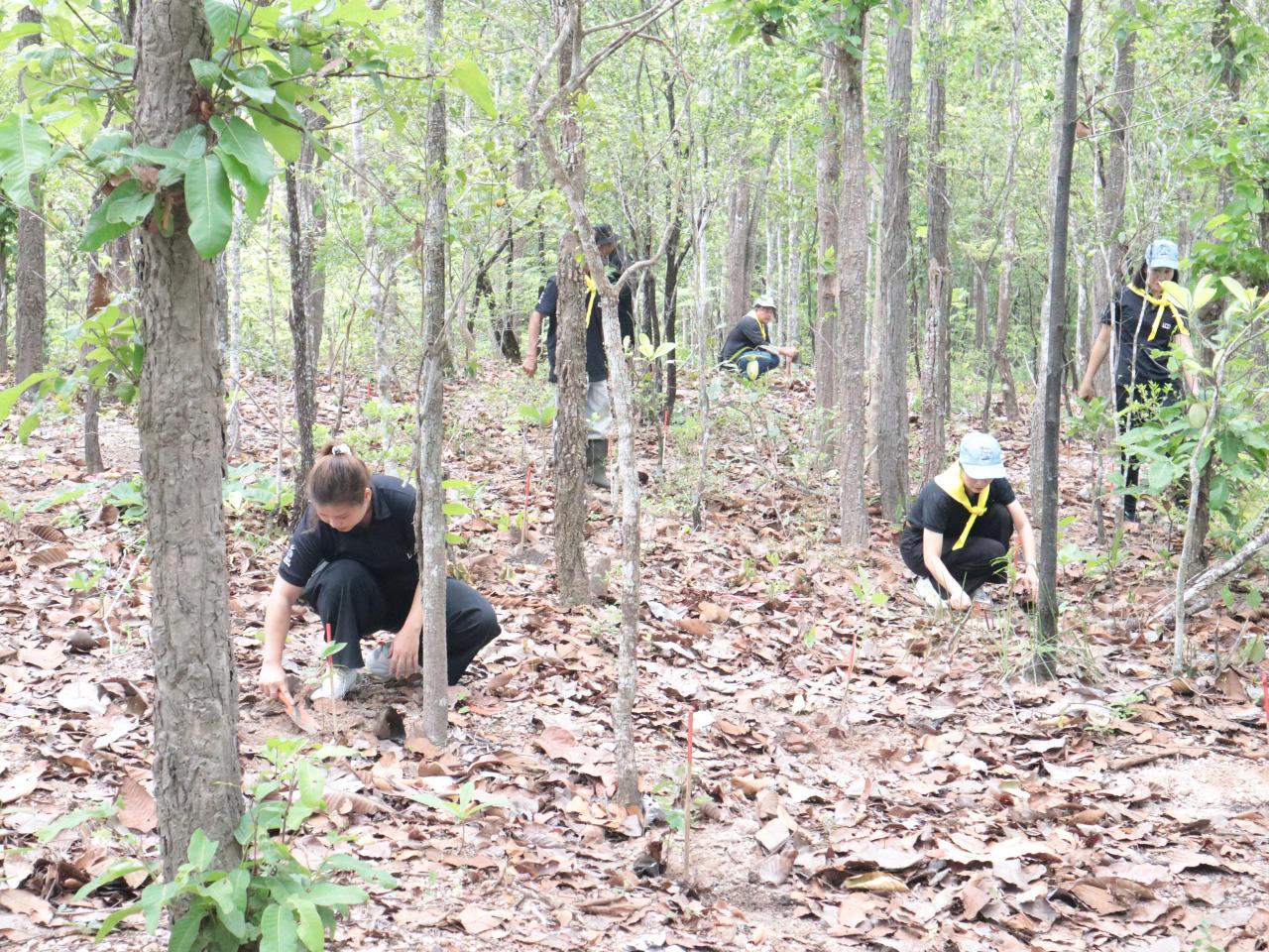 ภาพประกอบที่ 2