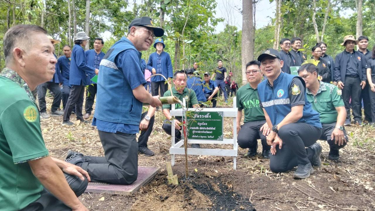 ภาพประกอบที่ 2