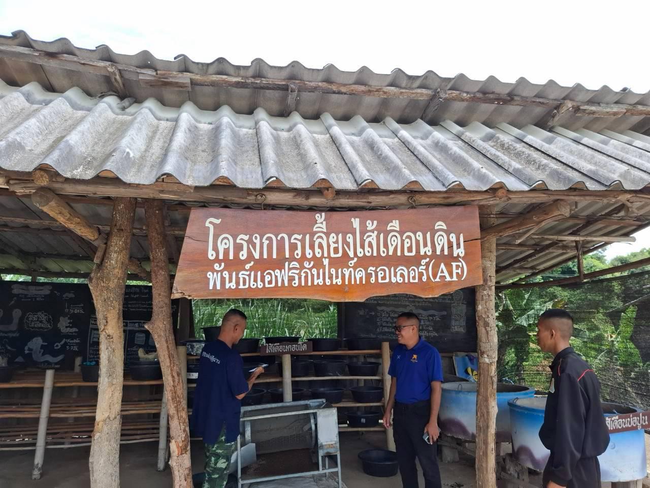 ภาพประกอบที่ 8