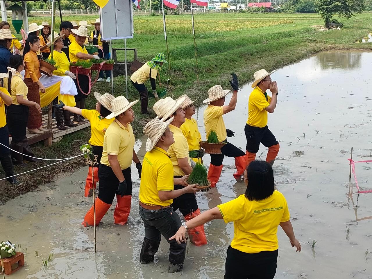 ภาพประกอบที่ 4