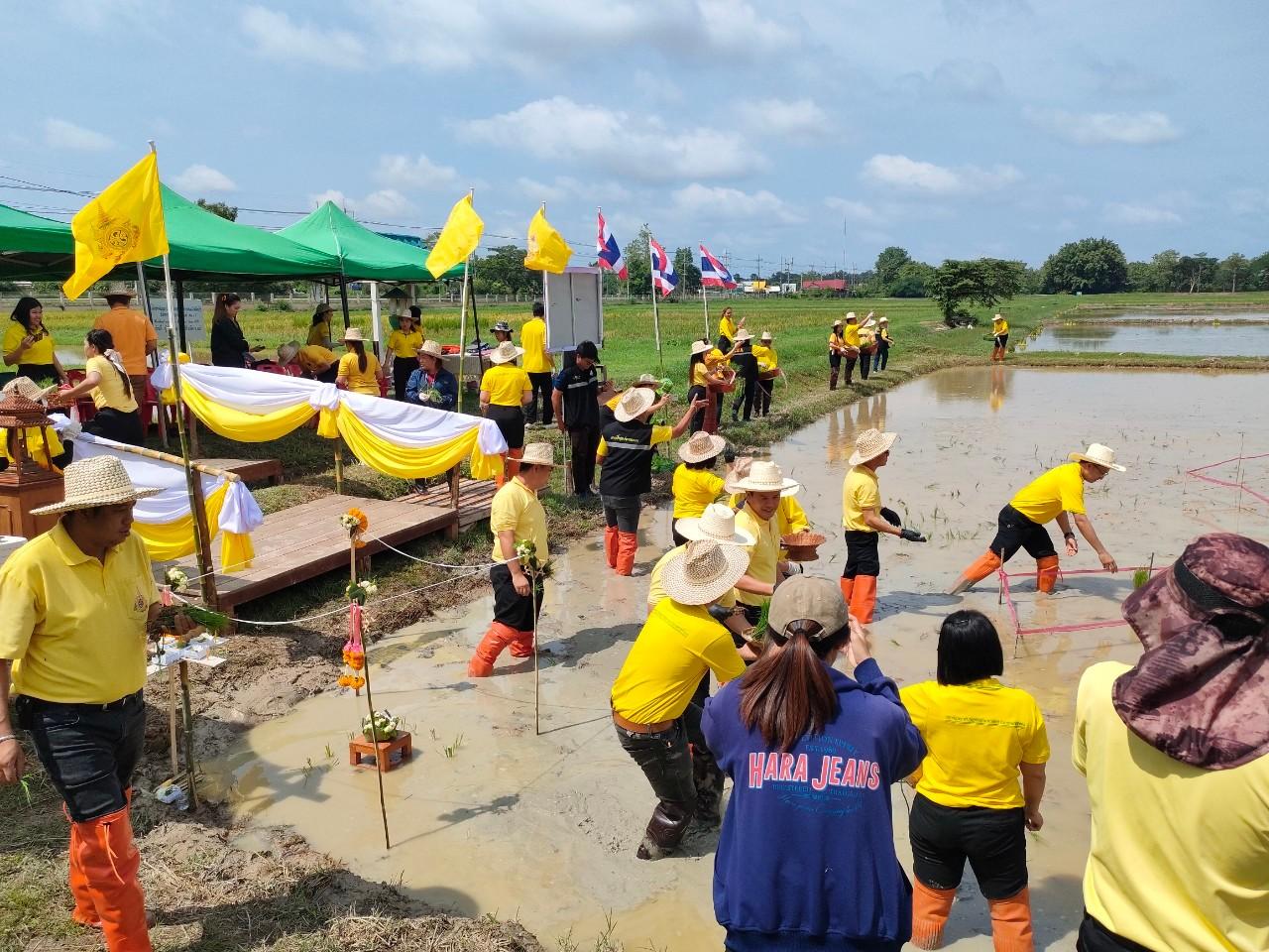 ภาพประกอบที่ 5