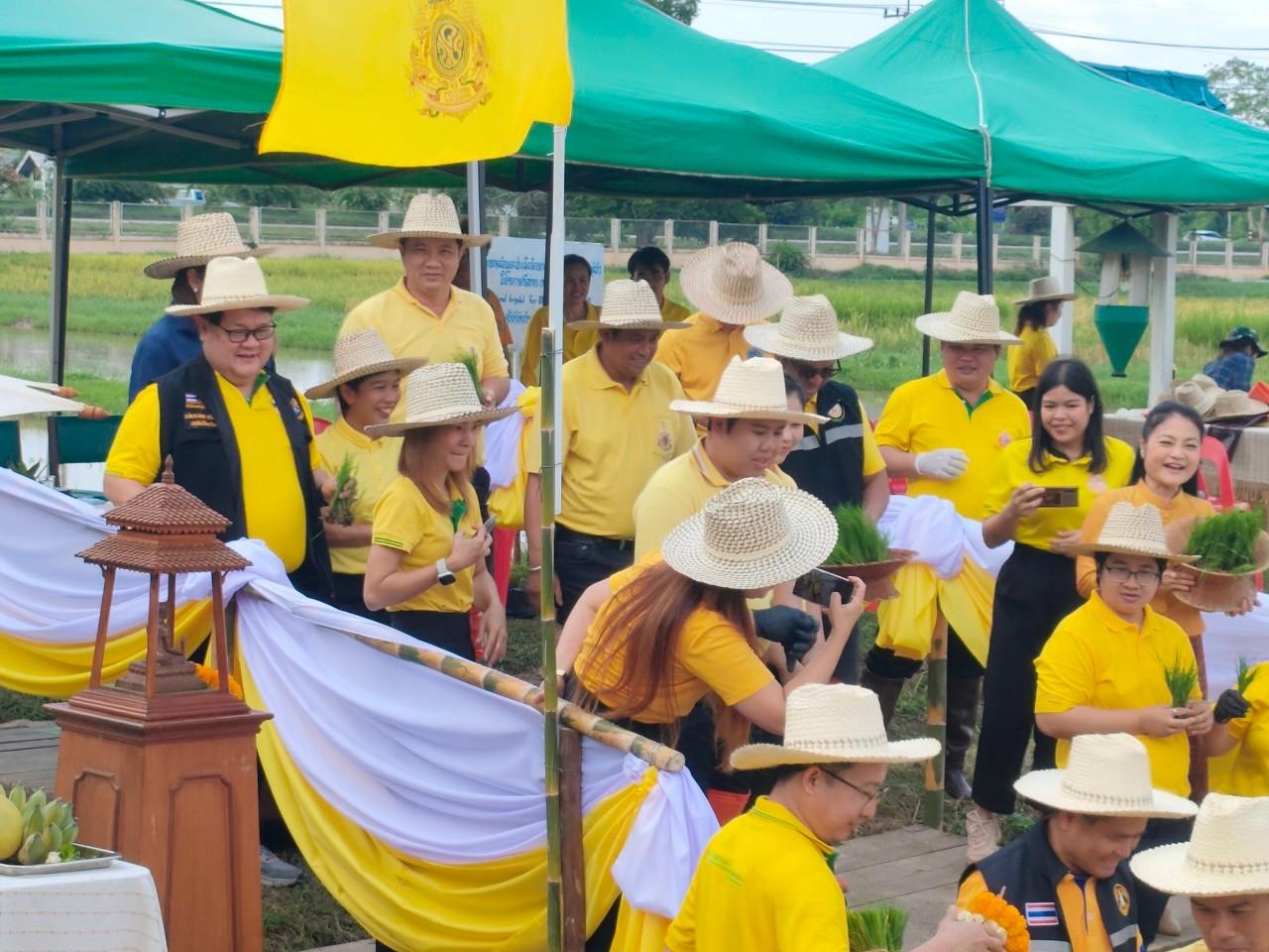 ภาพประกอบที่ 7