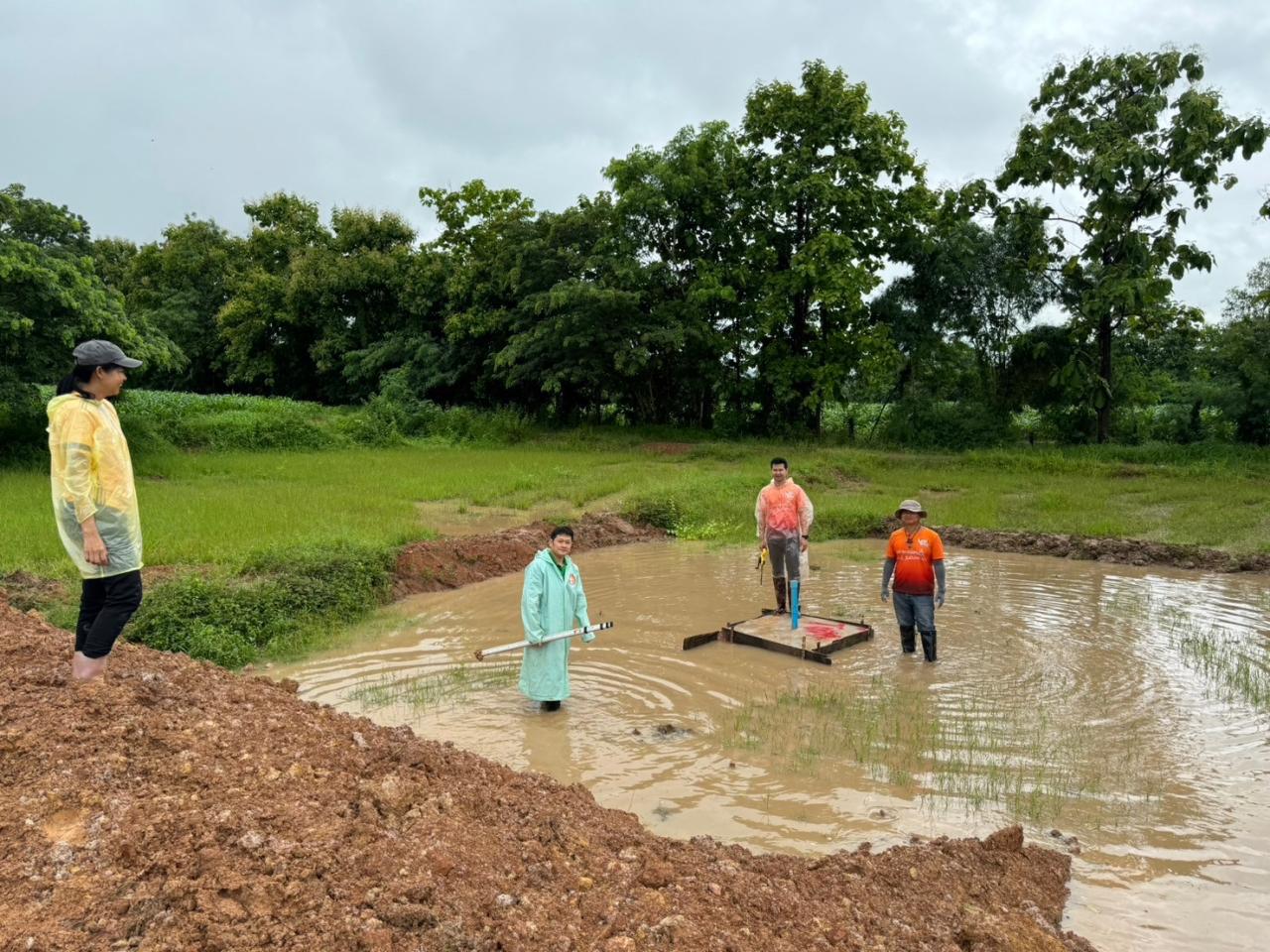 ภาพประกอบที่ 2