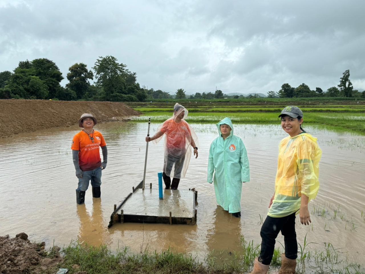 ภาพประกอบที่ 4