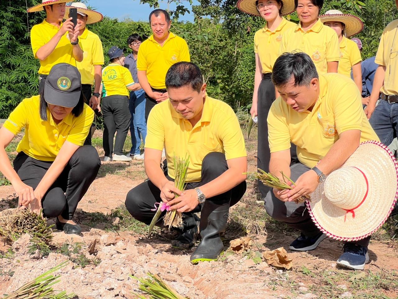 ภาพประกอบที่ 5