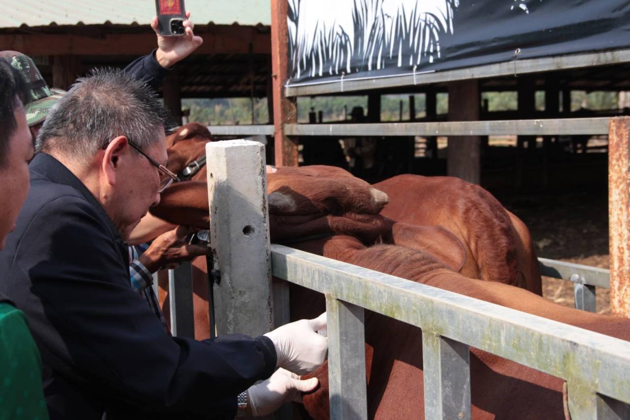ภาพประกอบที่ 4