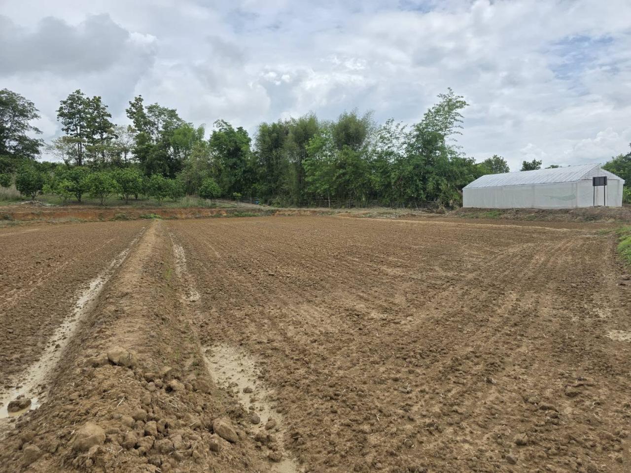 ภาพประกอบที่ 6