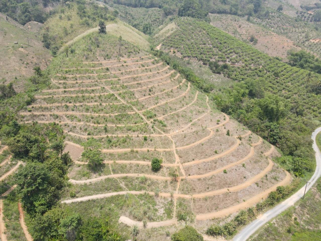 ภาพประกอบที่ 3