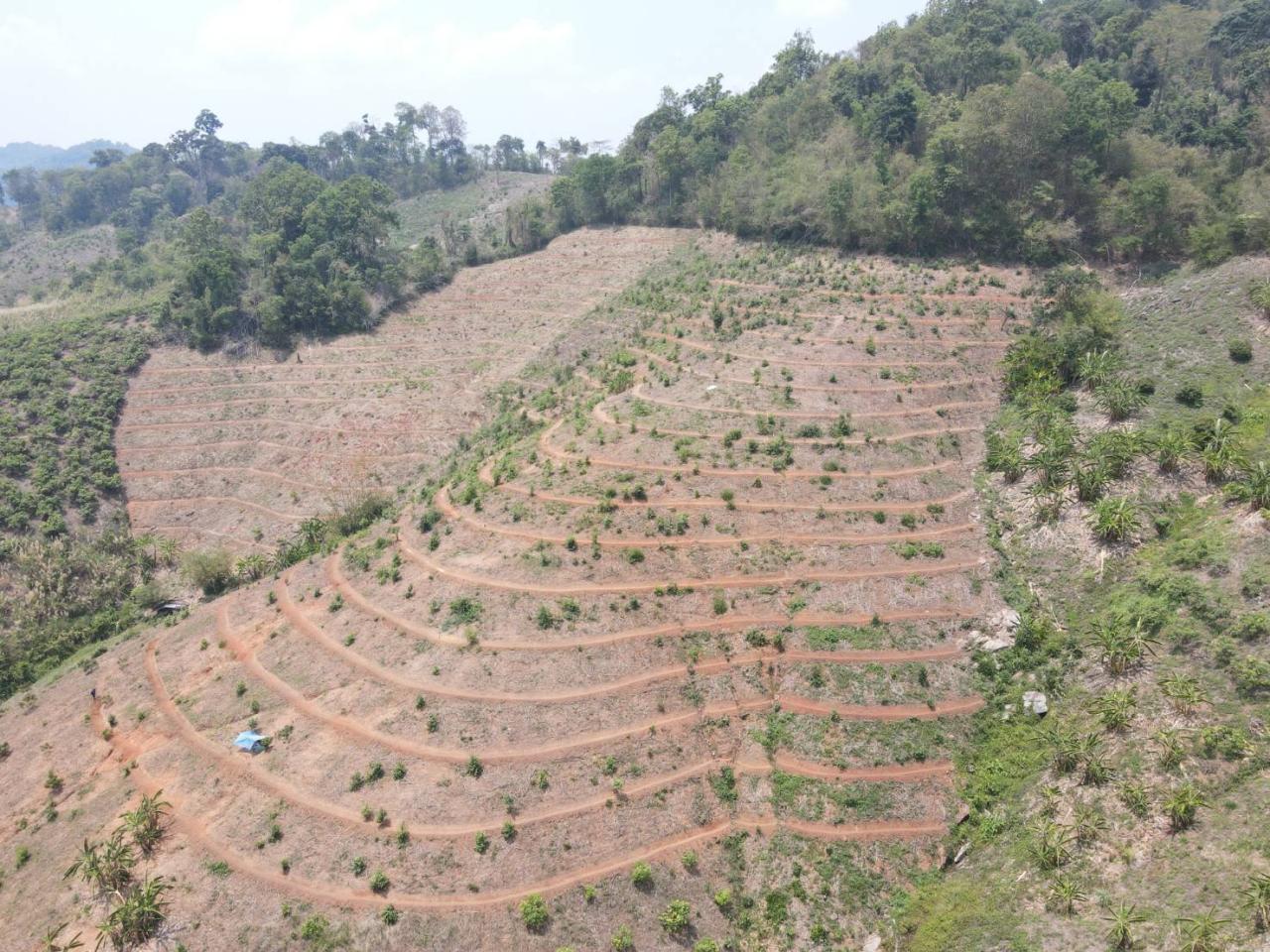 ภาพประกอบที่ 6