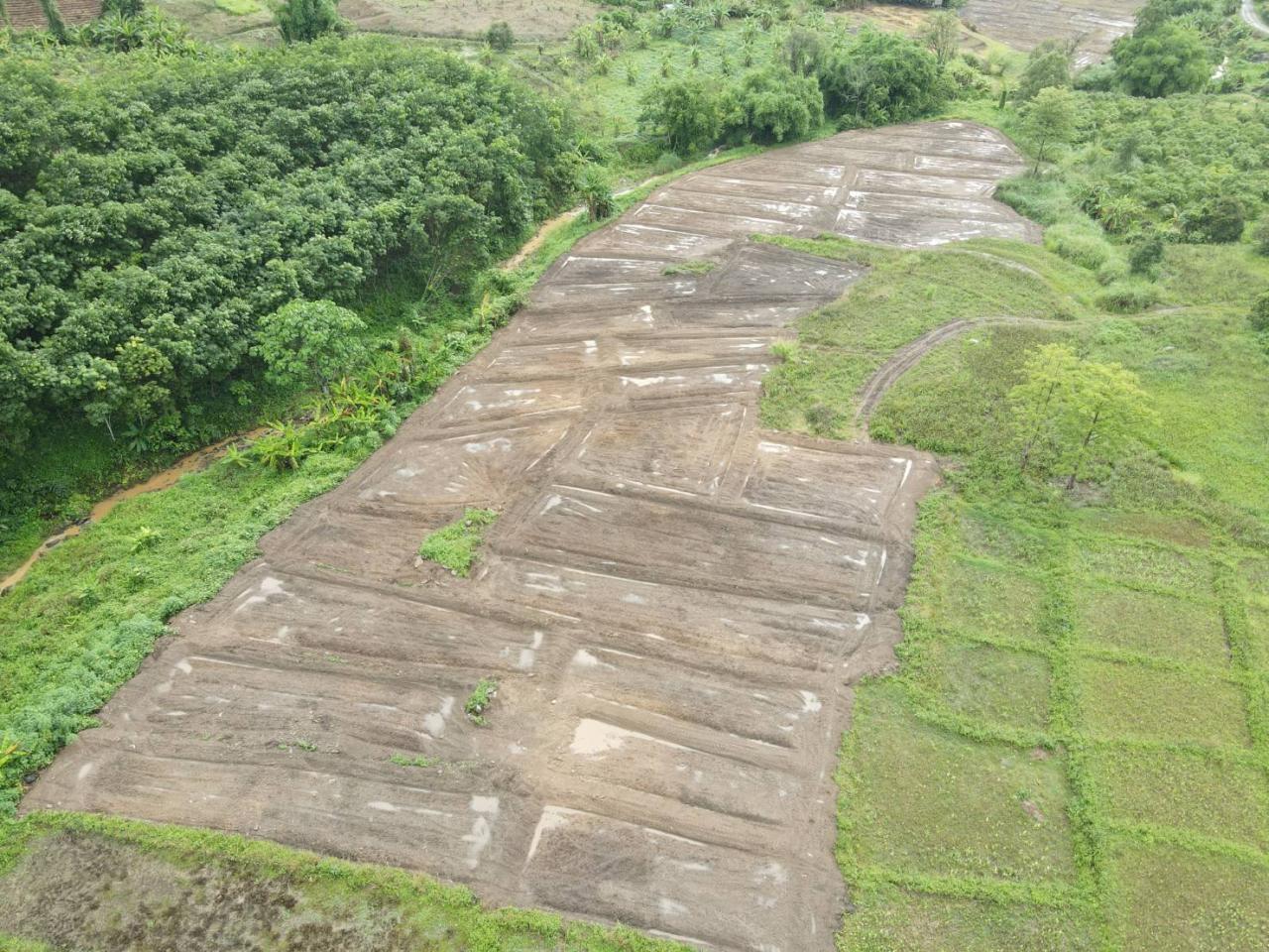 ภาพประกอบที่ 7