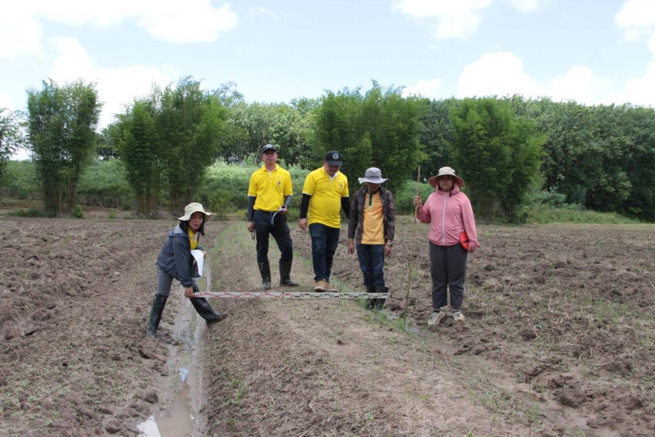 ภาพประกอบที่ 2