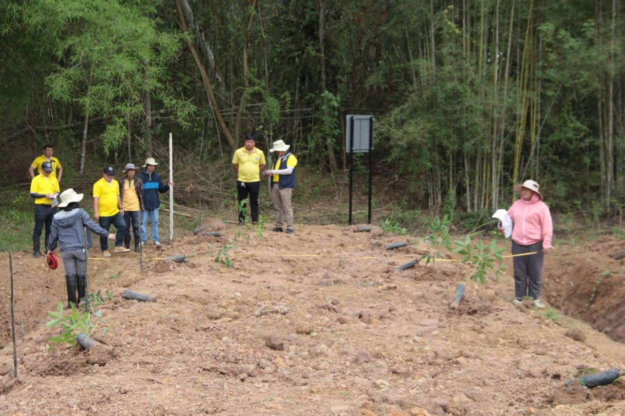 ภาพประกอบที่ 5