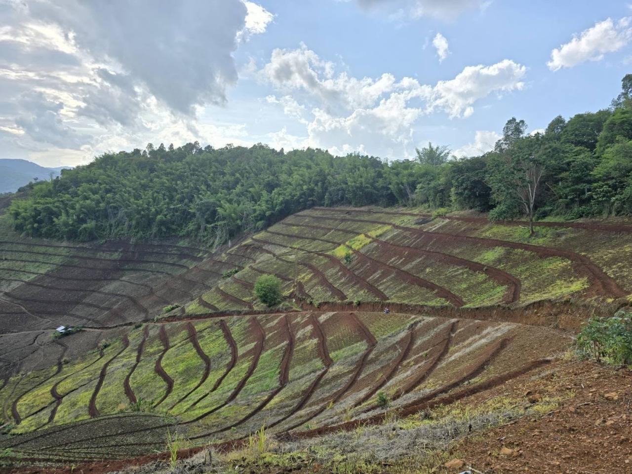 ภาพประกอบที่ 6