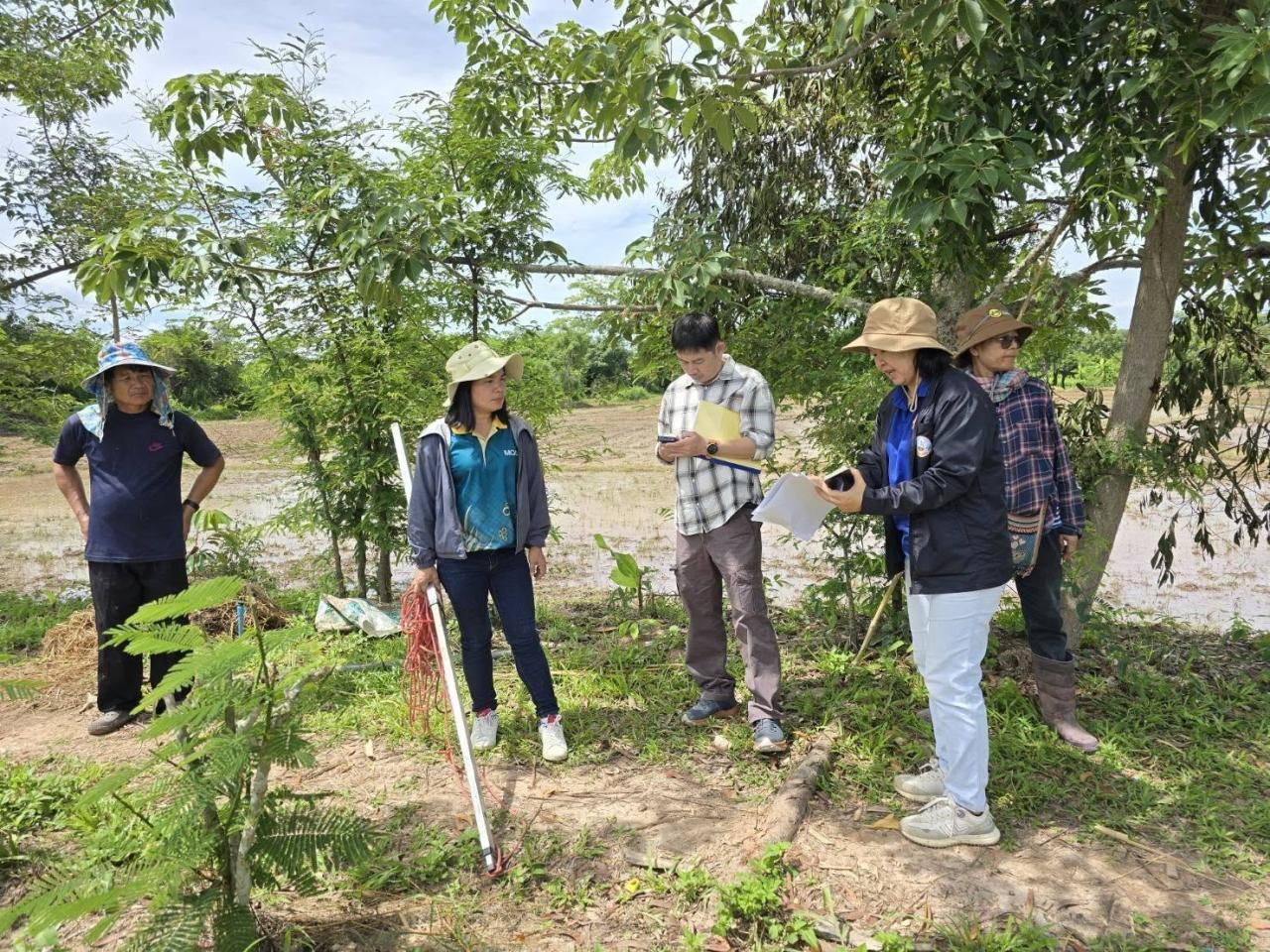 ภาพประกอบที่ 1
