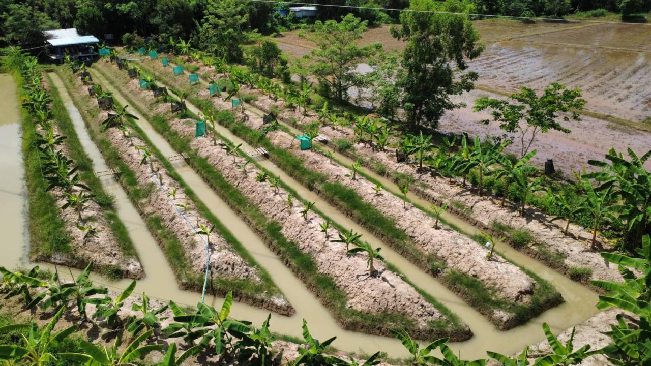 ภาพประกอบที่ 2