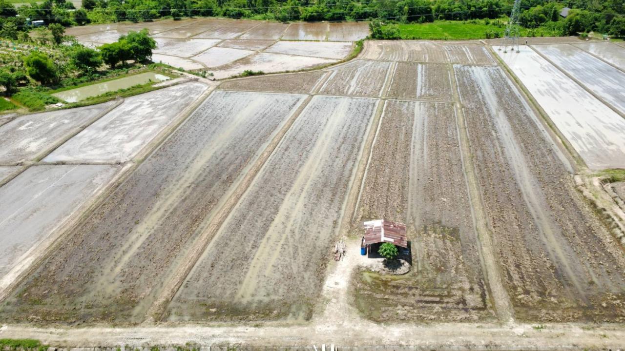 ภาพประกอบที่ 5