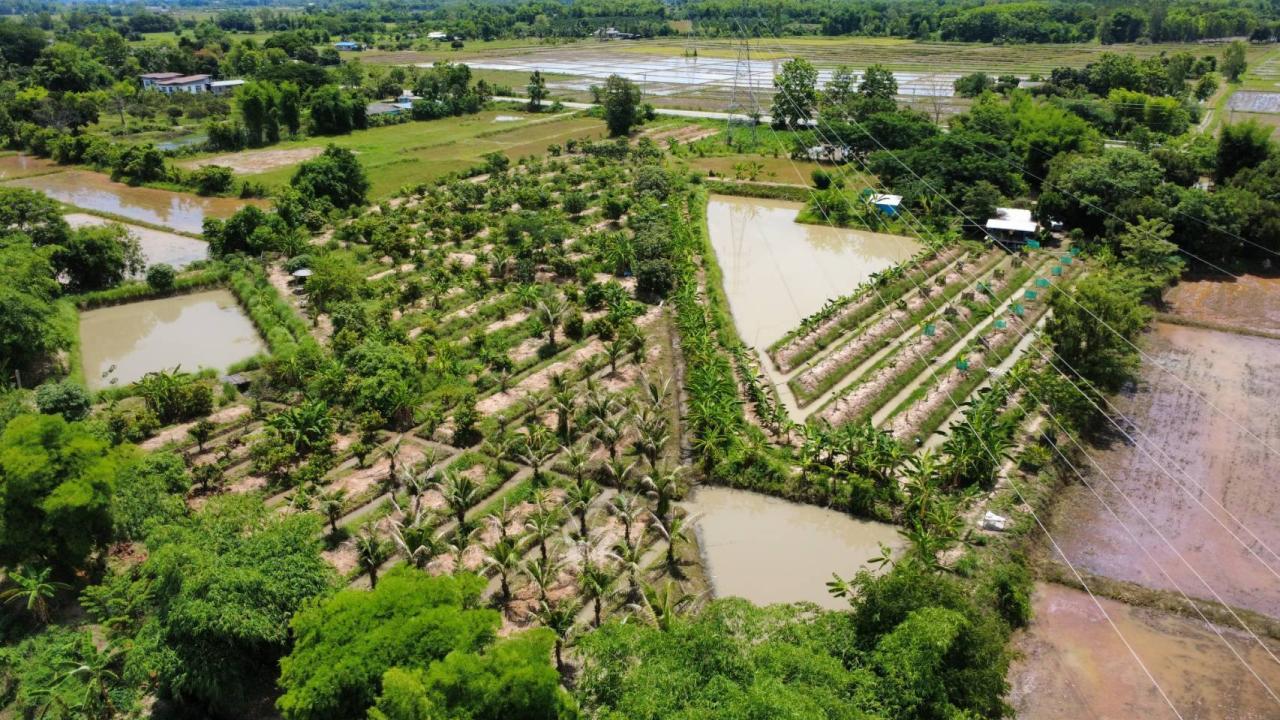 ภาพประกอบที่ 6