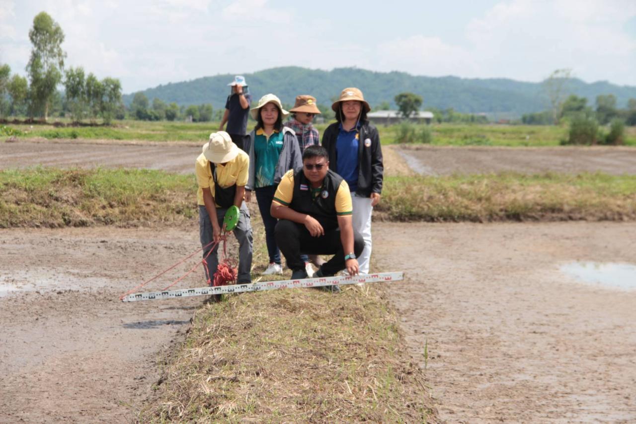 ภาพประกอบที่ 7
