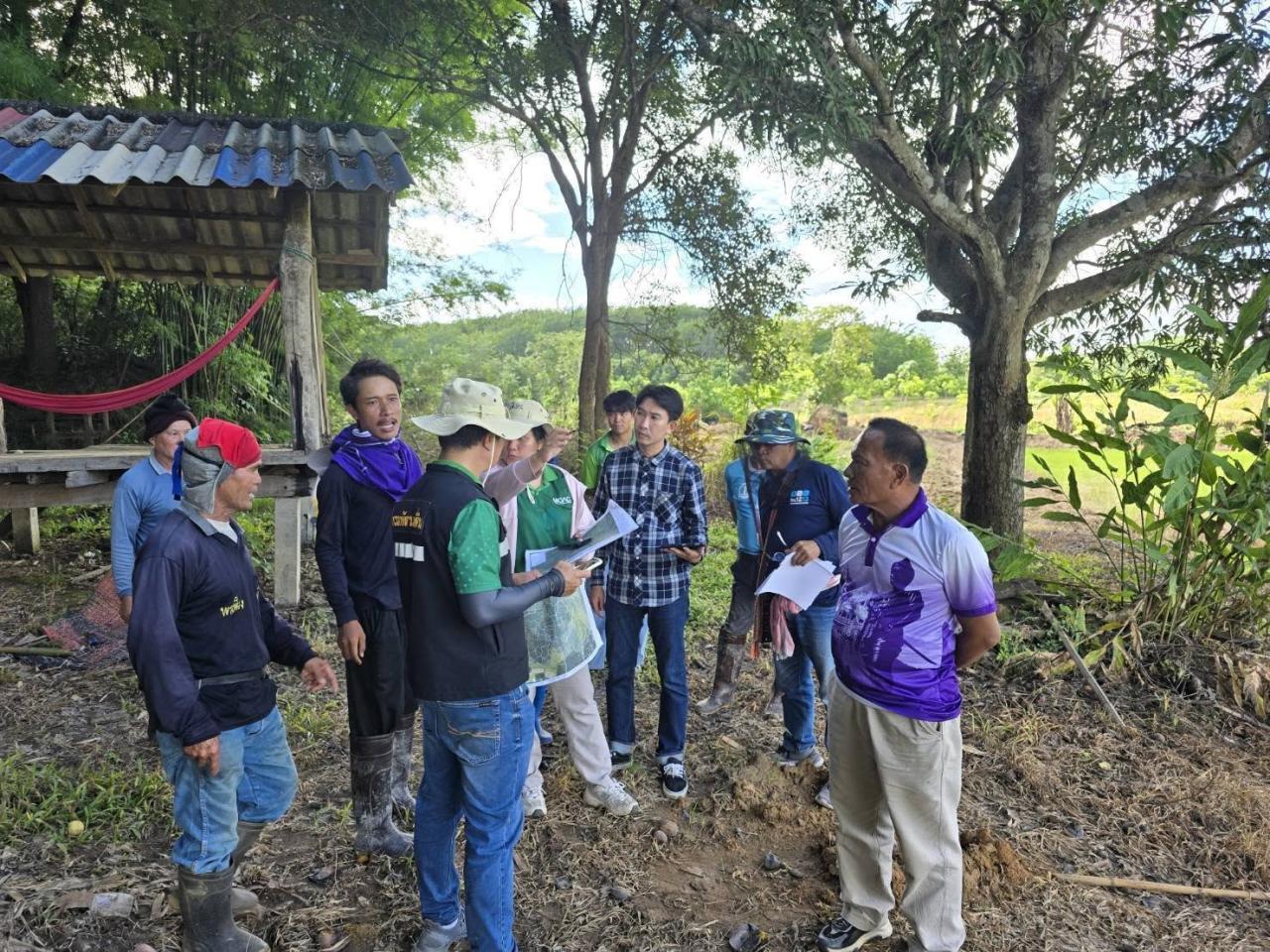 ภาพประกอบที่ 0