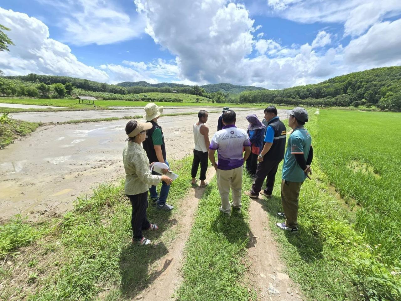 ภาพประกอบที่ 7