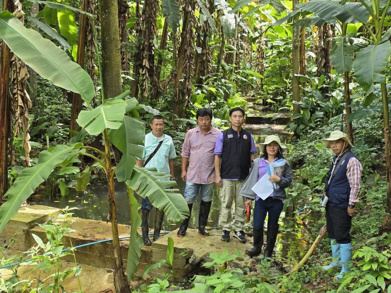 ภาพประกอบที่ 5