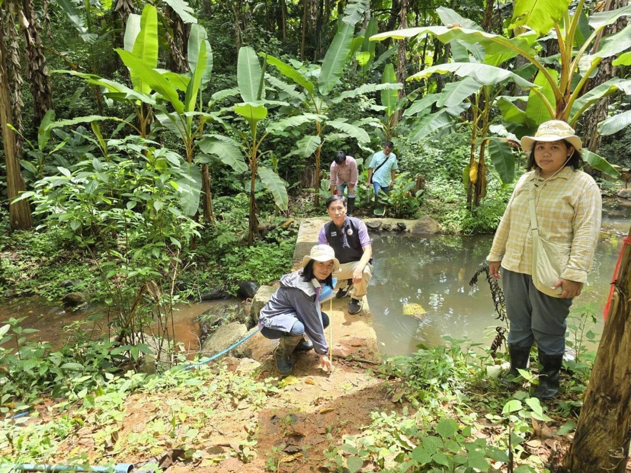 ภาพประกอบที่ 6
