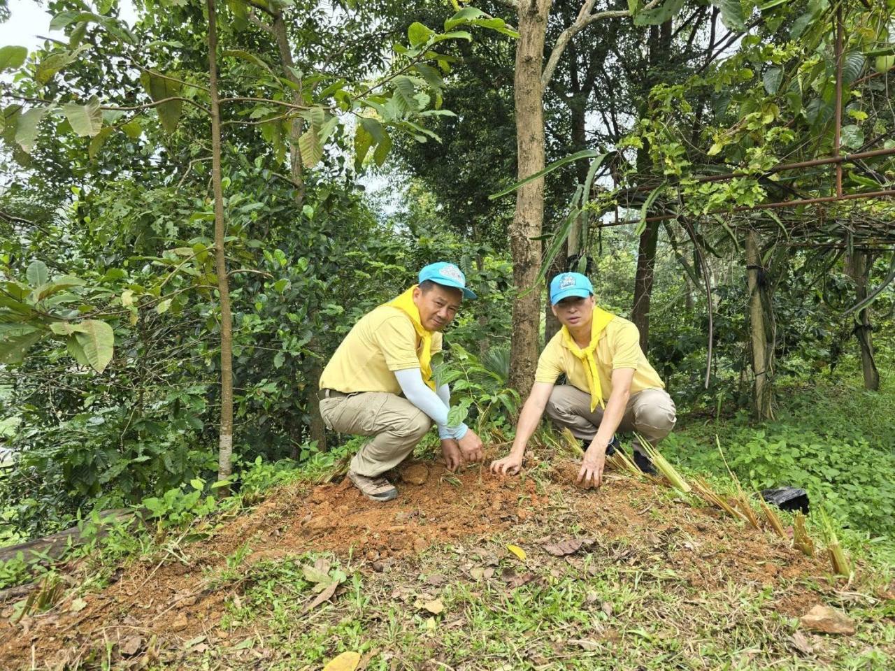 ภาพประกอบที่ 1