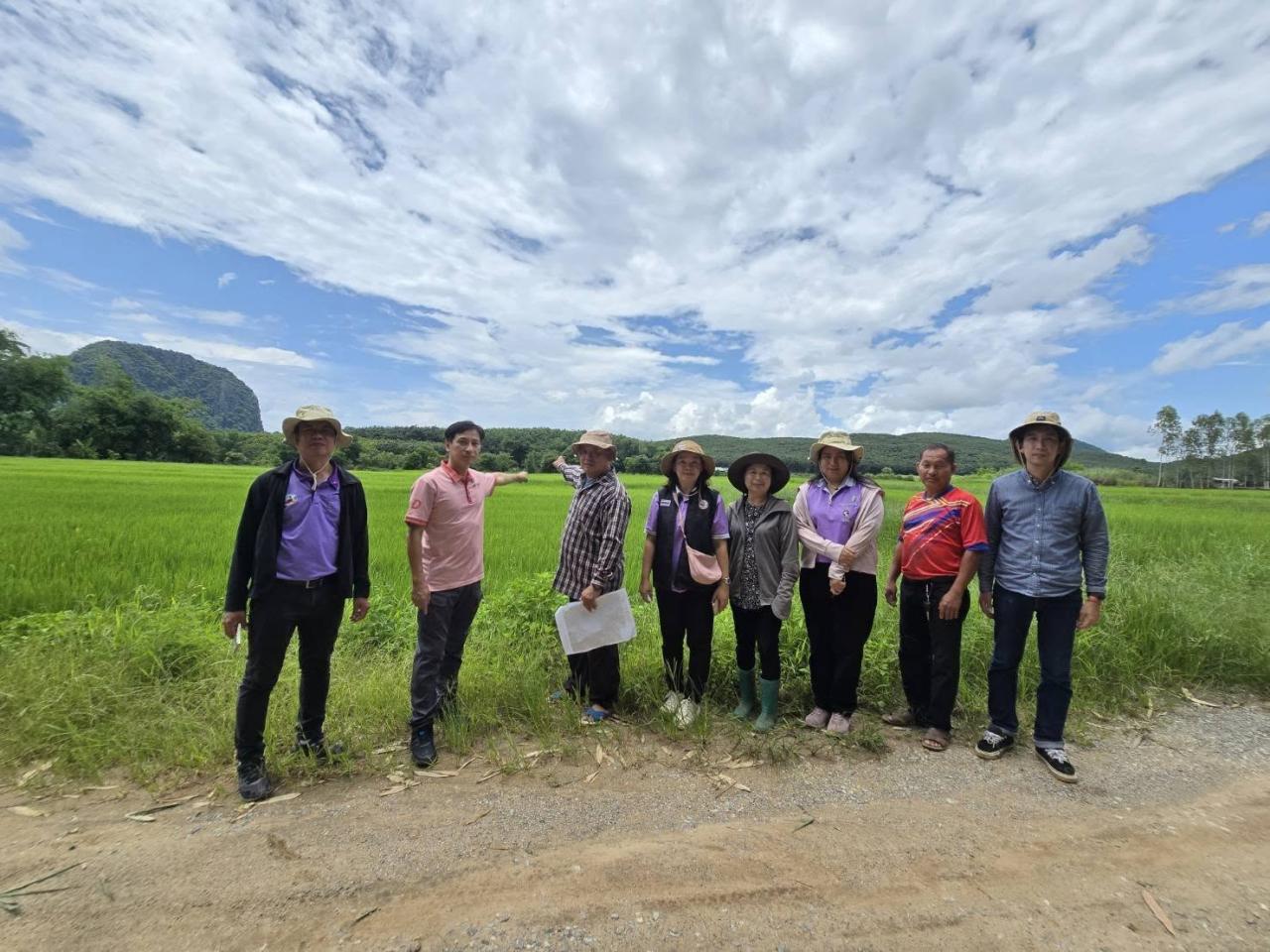 ภาพประกอบที่ 1