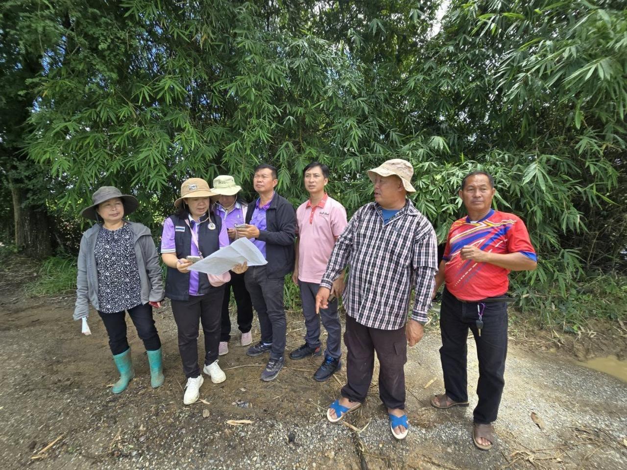 ภาพประกอบที่ 8