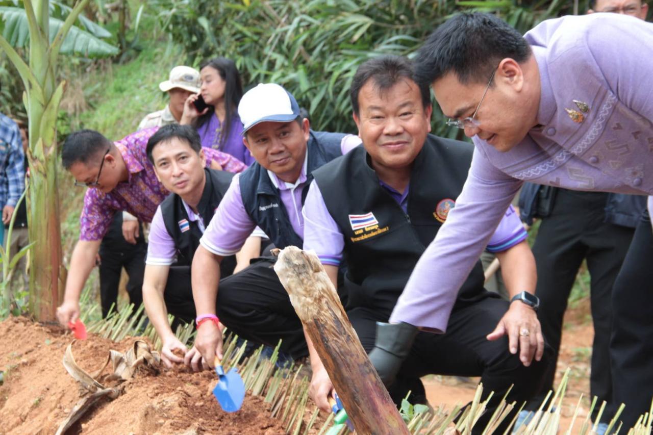 ภาพประกอบที่ 3