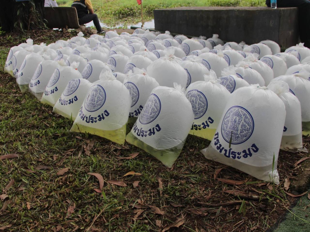 ภาพประกอบที่ 6