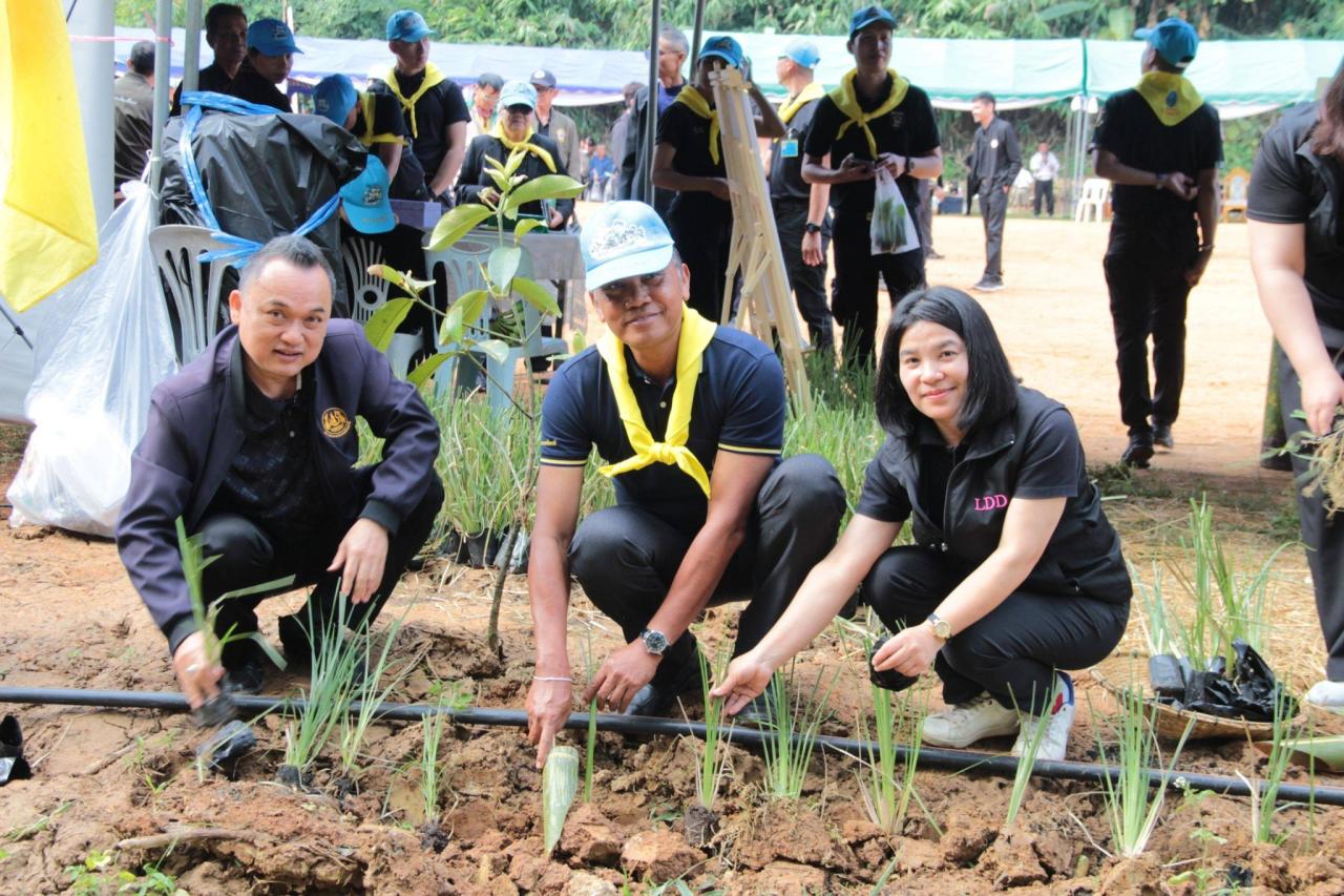 ภาพประกอบที่ 12