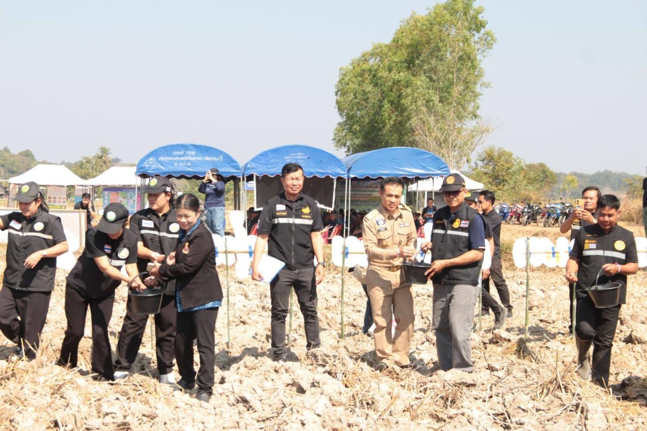 ภาพประกอบที่ 5