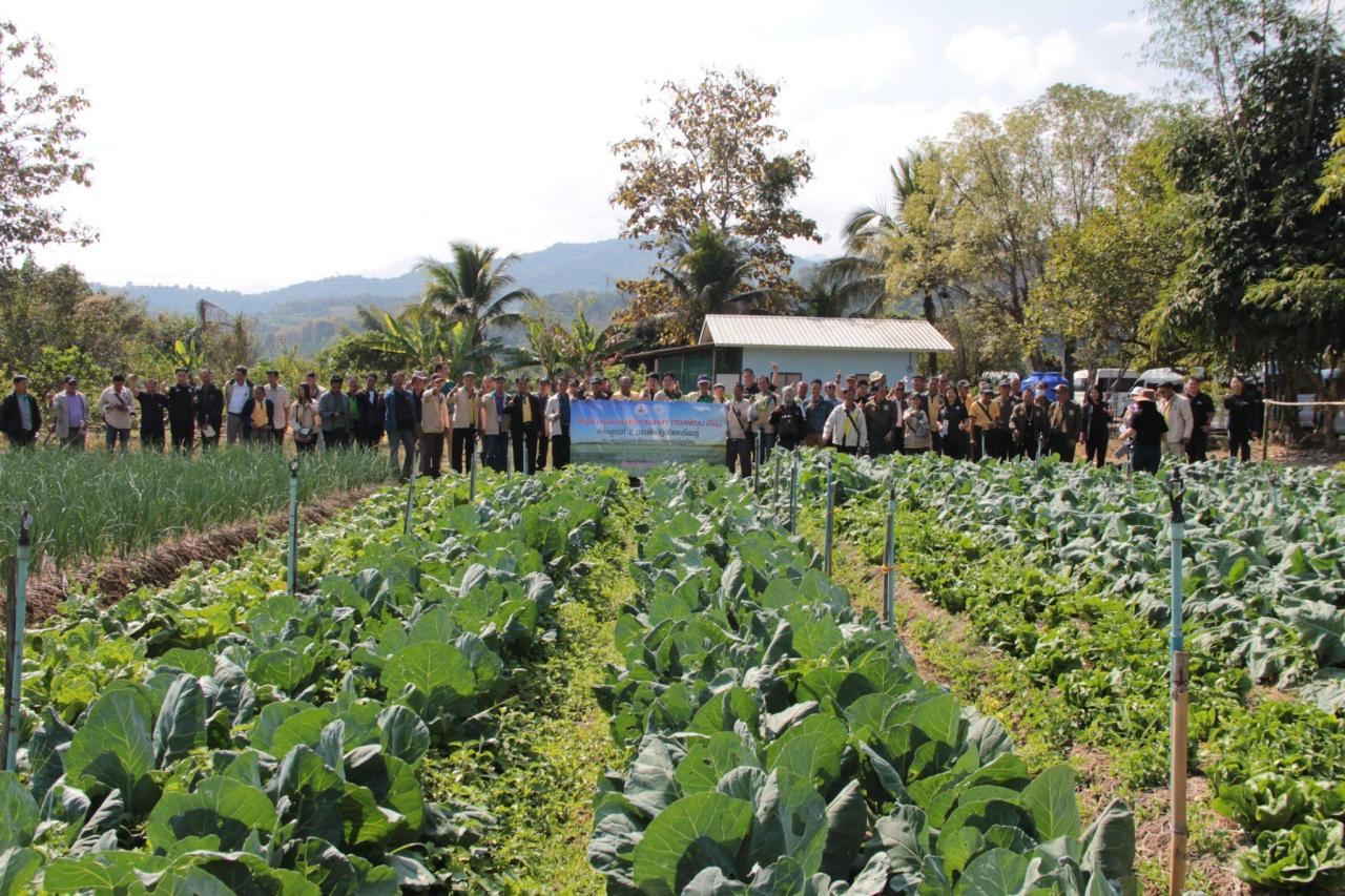 ภาพประกอบที่ 5