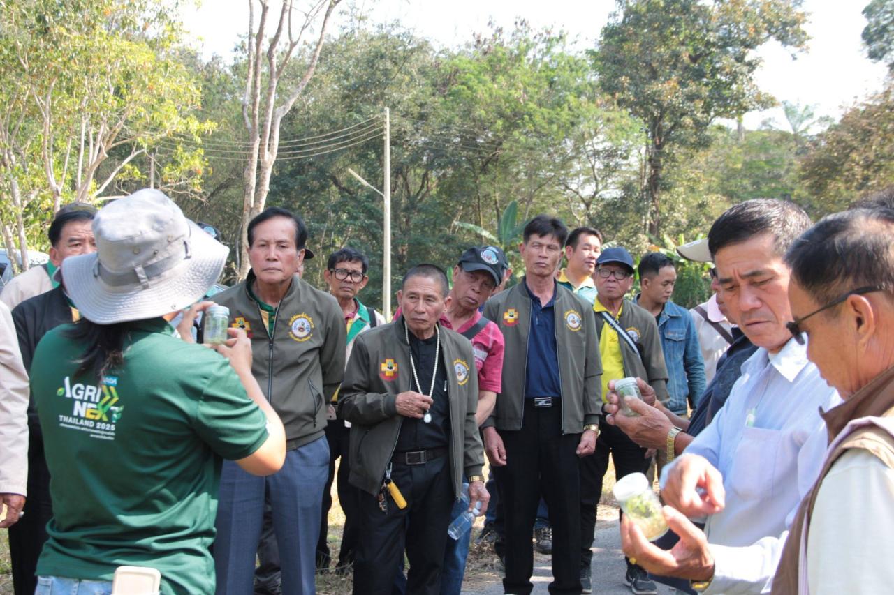 ภาพประกอบที่ 11
