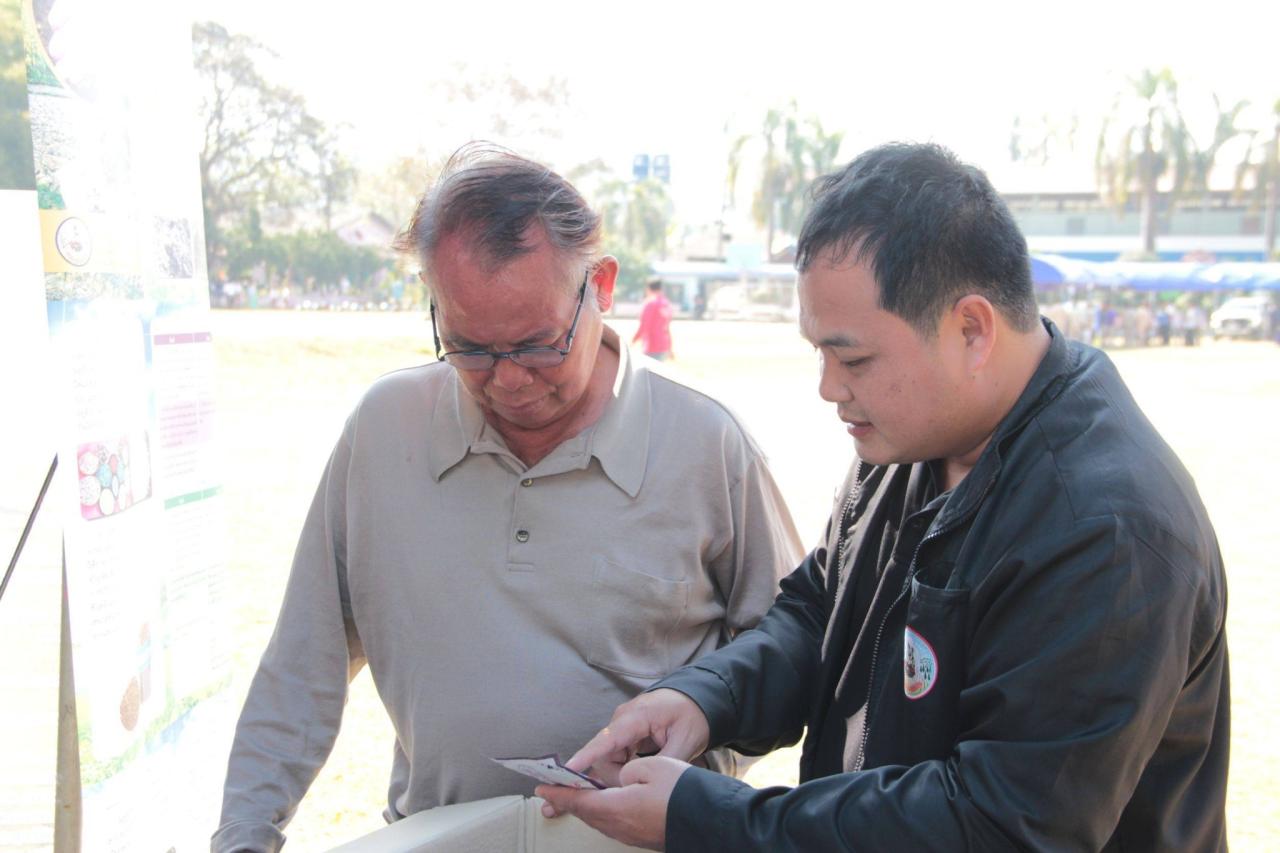 ภาพประกอบที่ 8