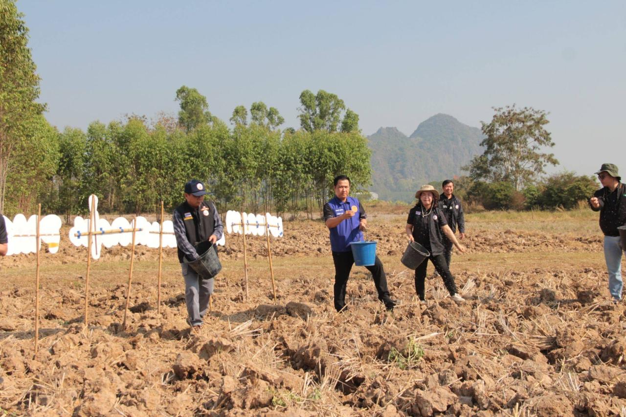 ภาพประกอบที่ 6