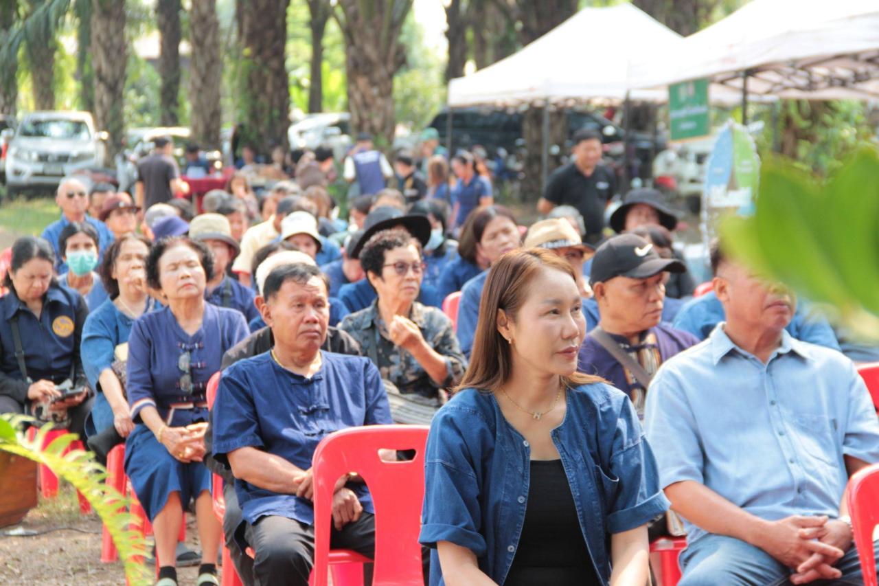 ภาพประกอบที่ 6